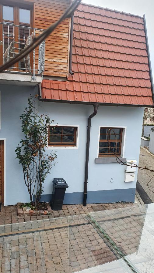 Ferienwohnung Im Bueckle Gottenheim Extérieur photo
